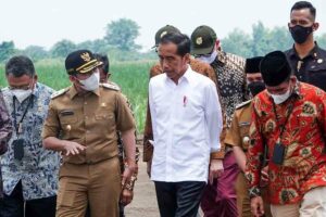 Presiden Jokowi akan Siapkan Lahan untuk Dukung Swasembada Gula