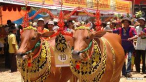 Pemkab Pamekasan Ajak Berbagai Pihak Wujudkan Ekowisata Sapi di Pamekasan