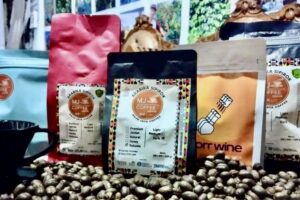 Kopi Sipirok asal Tapsel Binaan PLN Tembus Pasar Singapura dan Malaysia