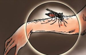 Kematian Global Akibat Malaria di 2021 Capai 619.000 Jiwa
