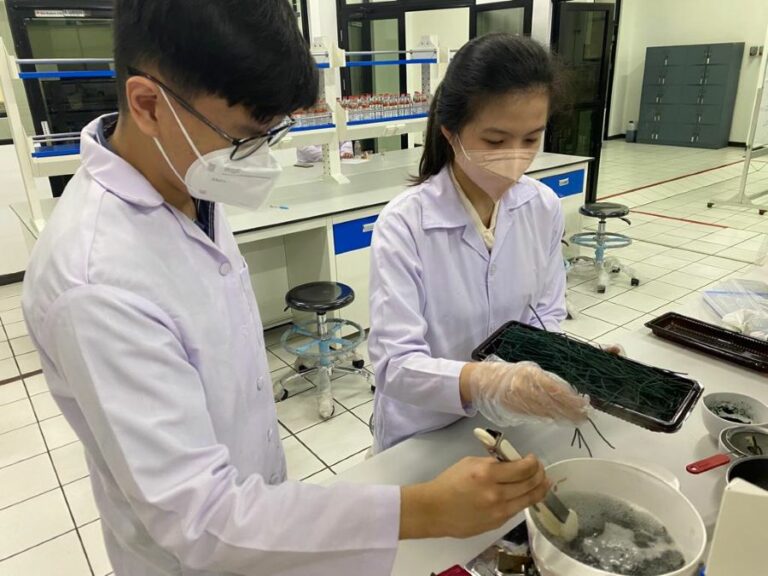 Tim Teknik Kimia UBAYA Ciptakan Pasta Spirulina Berprotein Tinggi