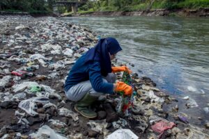 Temuan Mikroplastik dalam Ikan Ancam Kesehatan Masyarakat