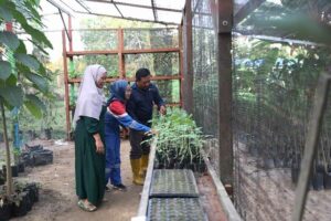 Lewat Tante Siska, PT PEP Sangasanga Field Pacu Ekonomi 677 Petani