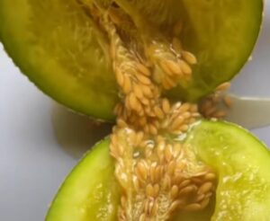 Lebih Harum dan Manis, Segini Harga Melon Hikapel