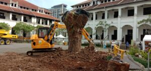 Kemarin Tumbang, Kini Pohon Mangga Talijiwo Ditanam Lagi di Lawang Sewu, Para Peri Penunggu Kembali ke Rumah Asalnya
