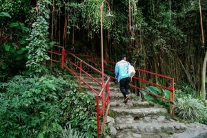 Wisata Ledoksambi Yogyakarta