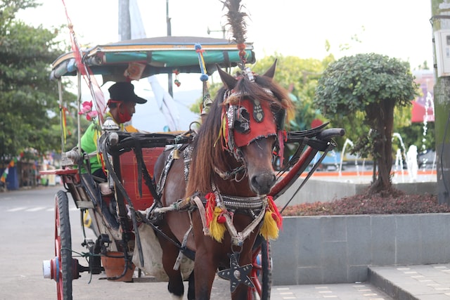 Satpol PP Jakpus Tak Izinkan Delman Lewat Monas dan Bundaran HI Delman