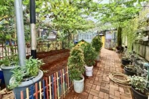 Dalam 6 Bulan, Masyarakat Klender Ubah Tempat Pembuangan Sampah Jadi Mini Food Estate