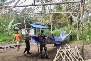 Meresahkan, Arena Sabung Ayam di Gedangan Dibongkar Polres Malang