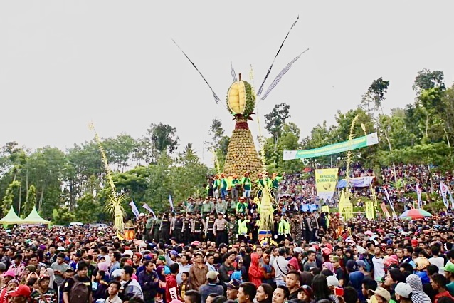 KenDurian Wonosalam Hadir Lagi 5 Maret 2023, Pesta Durian Terbaik Jawa Timur foto pilar id