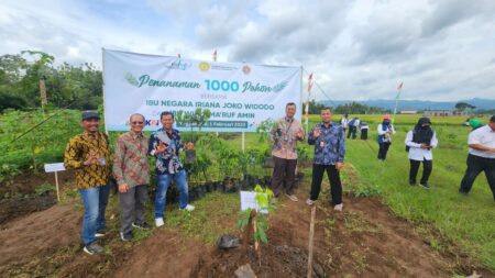 PGN Tanam 1000 Pohon Alpokat Rifai di Agrowisata Kulonprogo