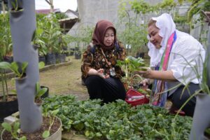 Inovasi Urban Farming Mbak Ita Diapresiasi Tim Verifikasi Lapangan PPD Jateng