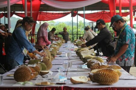 Gratis Lomba Makan Durian di Festival Durian Gunungpati 2023 Cepoko, Ini Syarat Daftar Peserta