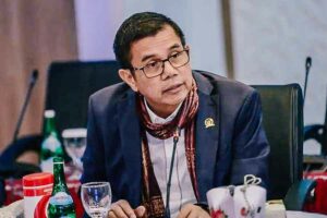 Anggota Komisi III DPR RI Hinca Pandjaitan