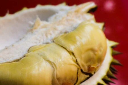 Ilustrasi buah durian (foto: Najib Zamri, pizabay)