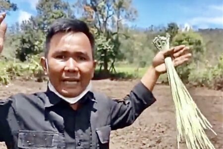 Kemarahan Warganet Usai Kebun Edelweis Rawa di Ranca Upas Rusak Akibat Event Motor Trail