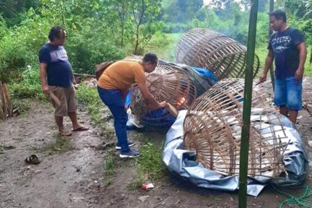 Polres Jombang Grebek Judi Sabung Ayam di Desa Bungasur