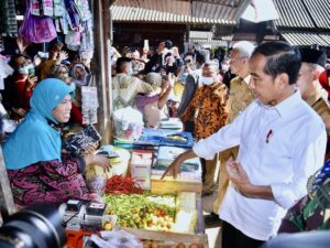 Harga Sembako Turun, Jokowi: Yang Naik Hanya Daging