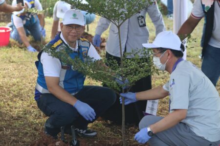 Adem, Gerbang Tol Cibitung Ditanam 1000 Pohon Ketapang Kencana