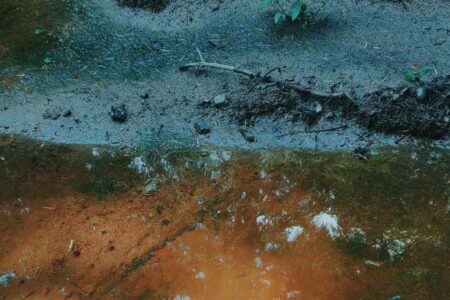 Bakteri Leptospira dapat hidup dalam air yang terkontaminasi oleh urin hewan yang terinfeksi
