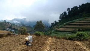 Gunung Purba di Jawa Tengah ini Diam-diam Masih Aktif, Dikelilingi Gunung-gunung Kecil dengan Potensi Alam dan Sejarah yang Luar Biasa