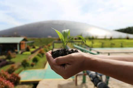 Kenaikan Volume Penjualan Topang Kinerja Peningkatan Finansial DSNG