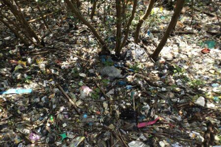 Tumpukan sampah di pantai mangrove Surabaya Timur (foto: Hendro D. Laksono, pilar.id)