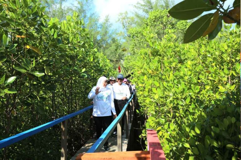 Gubernur Khofifah saat menghadiri Festival Mangrove ke-4 di Hutan Mangrove Pancer Cengkrong Kabupaten Trenggalek