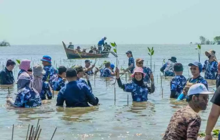 Karyawan MSIG Indonesia melakukan penanaman Mangrove