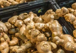 Tanaman TOGA ini Gampang Perawatannya tapi Besar Manfaatnya Jahe, produk tanaman TOGA yang mudah perawatannya (foto: unsplash)