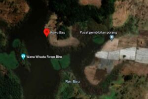 Kawasan Rowo Biru, Desa Buluagung, Kecamatan Siliragung, Banyuwangi, Jawa Timur