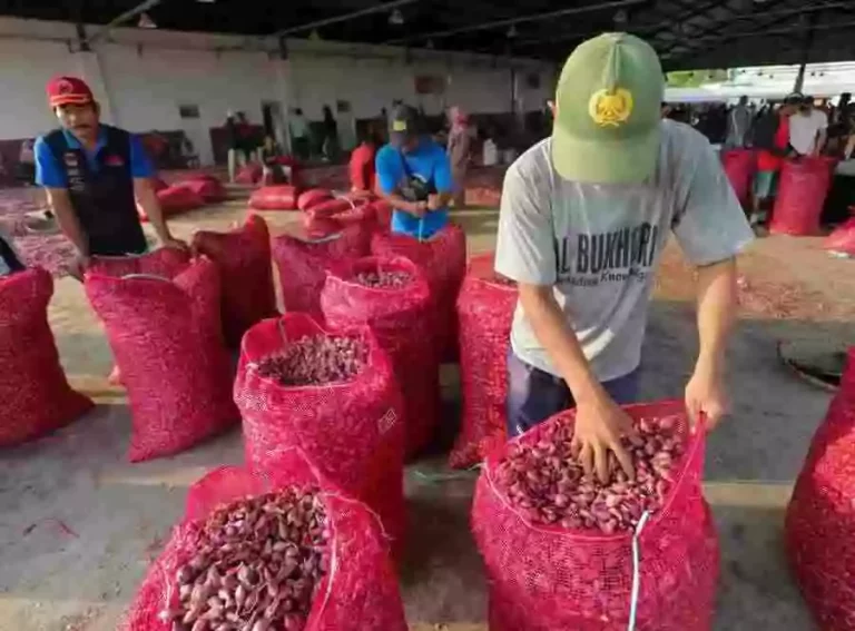 Pasar Bawang Sengon, Kecamatan Tanjung, Kabupaten Brebes, setelah revitalisasi