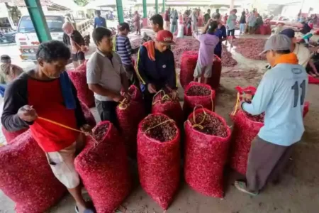 Revitalisasi Pasar Bawang Sengon Brebes bikin Senang Pedagang Pasar Bawang Sengon, Kecamatan Tanjung, Kabupaten Brebes, setelah revitalisasi