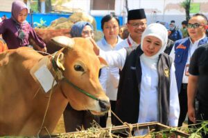 Gubernur Khofifah saat berkunjung di Rumah Potong Hewan Halal Pegirian, Surabaya