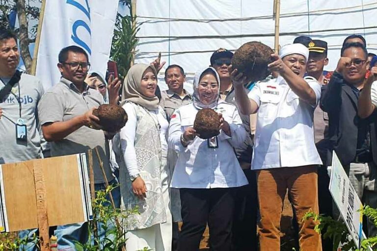 Kementerian Pertanian menyalurkan Kredit Usaha Rakyat (KUR) untuk budidaya Porang di berbagai daerah, salah satunya di Kabupaten Garut, Jawa Barat.
