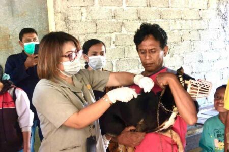 Kementan telah menjalankan program pengendalian dan pemberantasan rabies di Indonesia, termasuk melalui vaksinasi di wilayah yang terancam atau wilayah bebas tertular