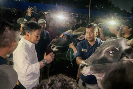 Lakukan Pendampingan Kesehatan, Kementan Pastikan Hewan Kurban dalam Kondisi Sehat Menteri Pertanian Syahrul Yasin Limpo saat melakukan kunjungan kerja di Bima Jaya Farm, Yasmin, Bogor