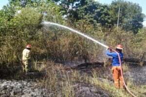 Kebakaran di Gampong Alue Glong ini diduga karena kondisi cuaca yang terik dan panas