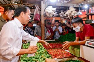 Presiden Jokowi blusukan di Pasar Tohaga Parung dan Parungpung, Kabupaten Bogor (foto: BPMI Setpres)