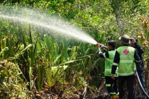 78 tahun Indonesia Merdeka, Kebakaran Hutan dan Lahan Masih jadi Ancaman Kebakaran hutan dan lahan seluas 0,35 Hektare di Jalan Dulin Kandang Kota Palangka Raya