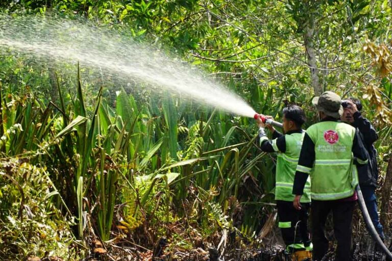78 tahun Indonesia Merdeka, Kebakaran Hutan dan Lahan Masih jadi Ancaman Kebakaran hutan dan lahan seluas 0,35 Hektare di Jalan Dulin Kandang Kota Palangka Raya