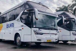 Perkuat Konektivitas Transportasi, Perum PPD Melebur dengan Perum Damri Damri ke depan akan terus menjalankan tugasnya sebagai moda transportasi yang memberikan layanan kepada masyarakat