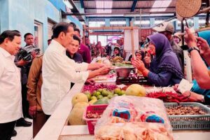 Presiden Jokowi blusukan di Pasar Bululawang, Kabupaten Malang, Jawa Timur (foto: Dok BPMI Setpres)