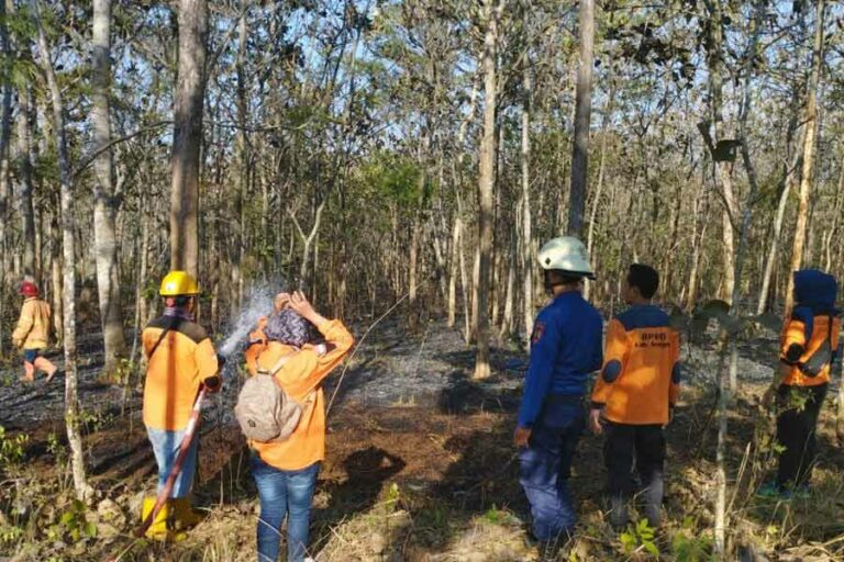 Awak BPBD Kabupaten Sragen memadamkan sisa-sisa api di salah satu hutan