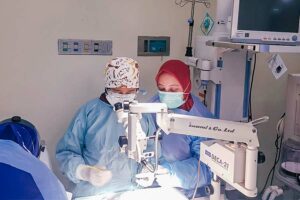 Kornea Artifisial, Formula Khusus untuk Tekan Angka Prevalensi Kebutaan Akibat Cedera Dr Prihartini Widiyanti saat melakukan penelitian.