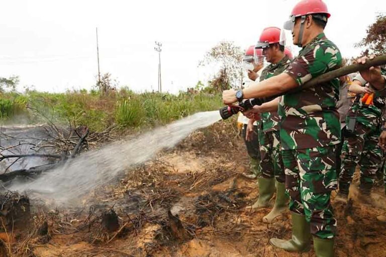 Panglima TNI: Penanggulangan Karhutla butuh Kerjasama antara TNI, Polri, Pemda dan Masyarakat