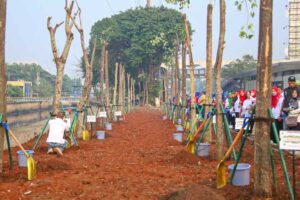 Penghijauan di area pinggiran kali sejumlah wilayah Jakarta.
