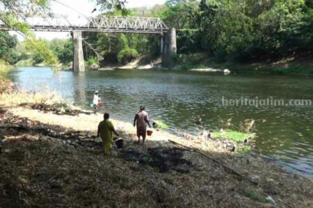 Sejumlah warga Desa Banjarbanggi, Kecamatan Pitu, Kabupaten Ngawi, berusaha mengambil air Bengawan Solo untuk mandi dan mencuci (foto: dok beritajatim.com)