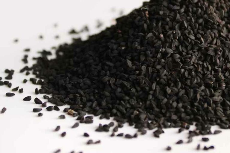 Jintan Hitam yang kaya manfaat (foto: Mockupo, unsplash)
