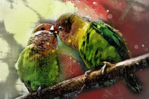 Ilustrasi sepasang burung love bird